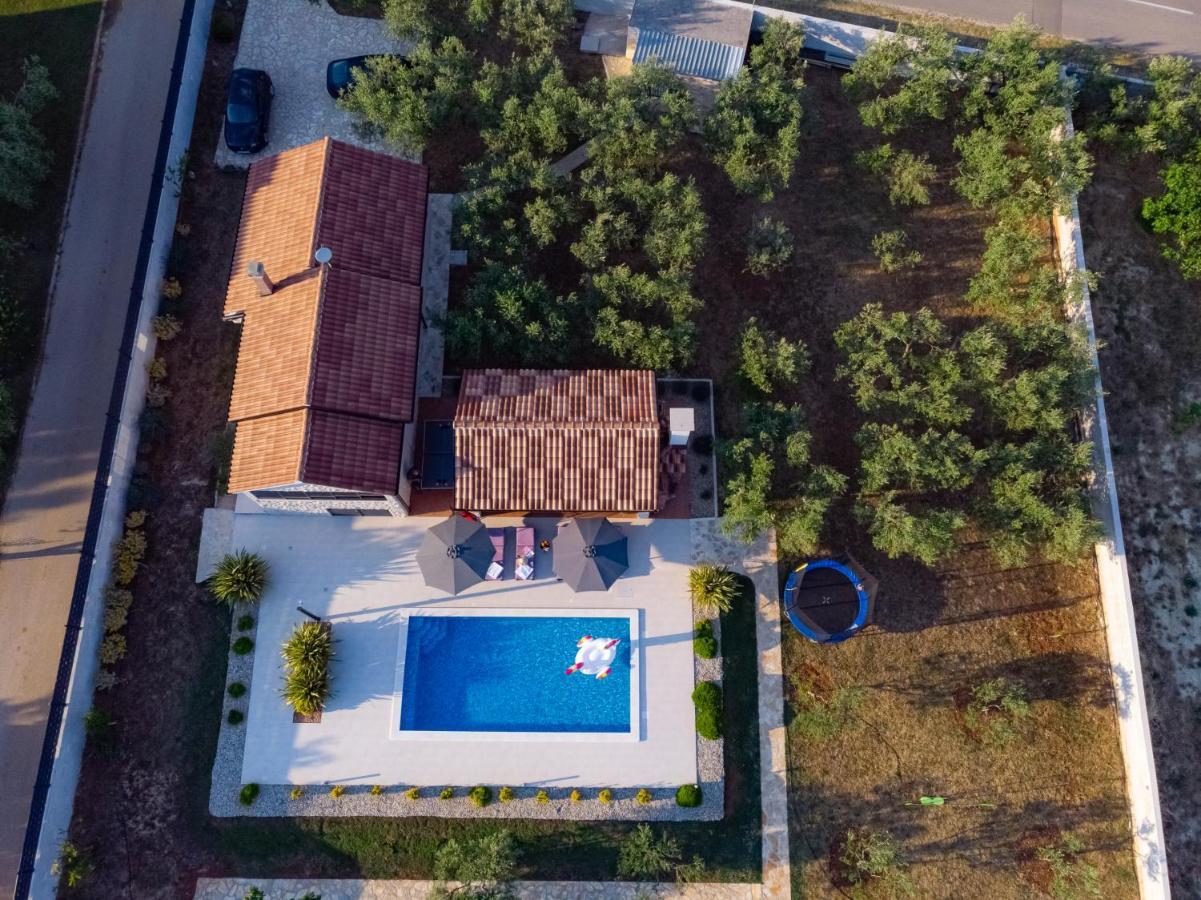 Villa Lorema-Pet Friendly On 5000 Sqm Garden,Pool, Jacuzzi, Billiard&Ps5 Sveti Filip i Jakov Exterior photo