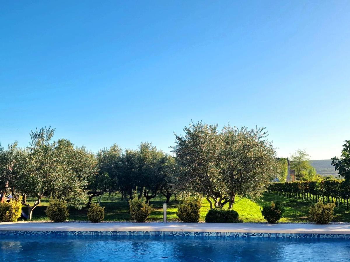 Villa Lorema-Pet Friendly On 5000 Sqm Garden,Pool, Jacuzzi, Billiard&Ps5 Sveti Filip i Jakov Exterior photo
