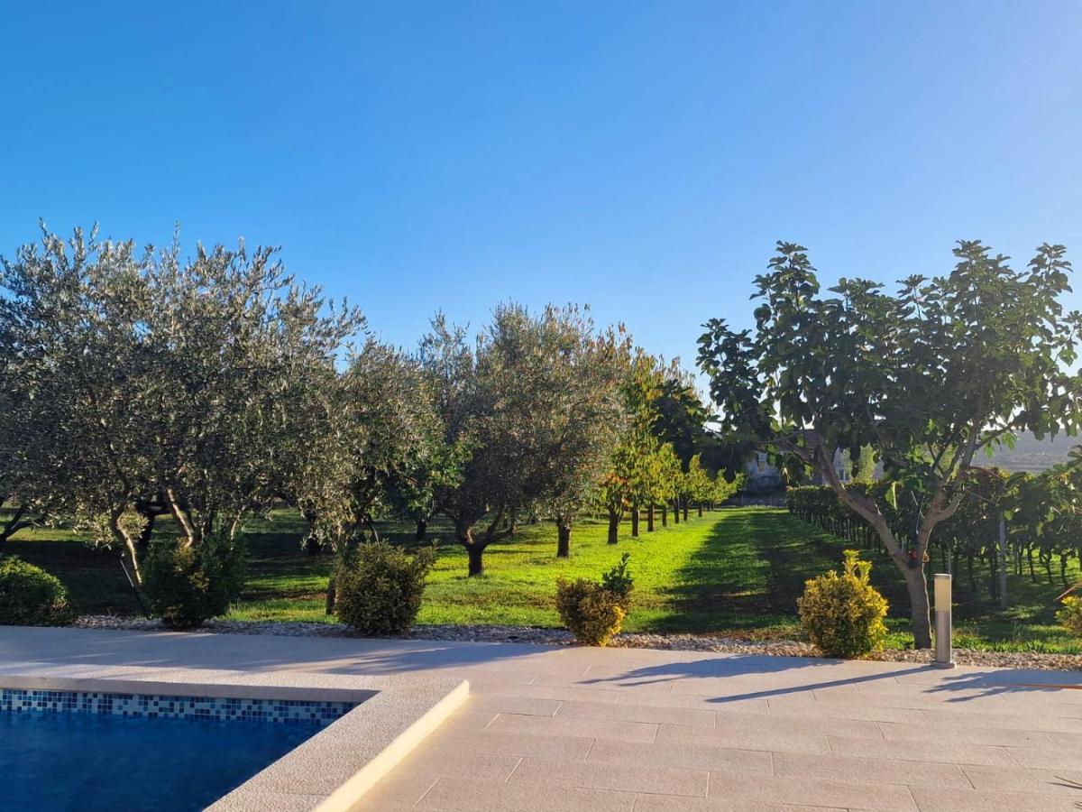 Villa Lorema-Pet Friendly On 5000 Sqm Garden,Pool, Jacuzzi, Billiard&Ps5 Sveti Filip i Jakov Exterior photo